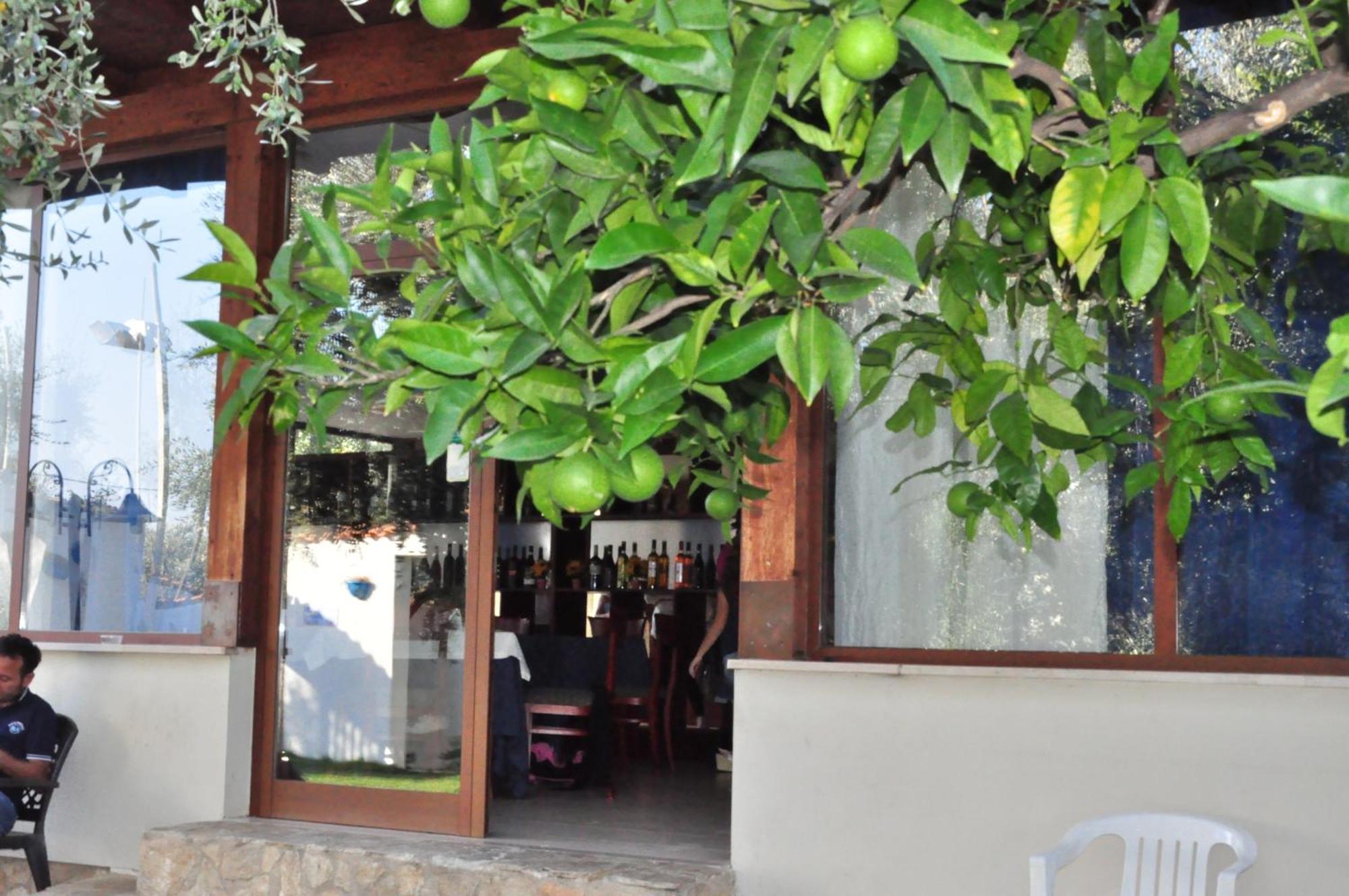 Hotel Il Melograno Маттината Экстерьер фото