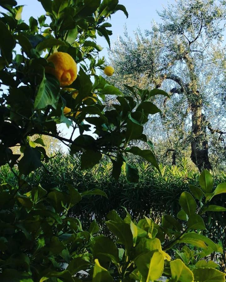 Hotel Il Melograno Маттината Экстерьер фото